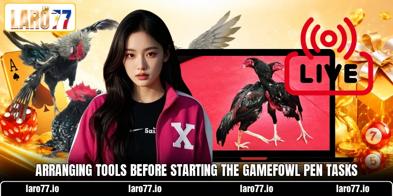 Arranging tools before starting the gamefowl pen tasks Arranging tools before starting the gamefowl pen tasks