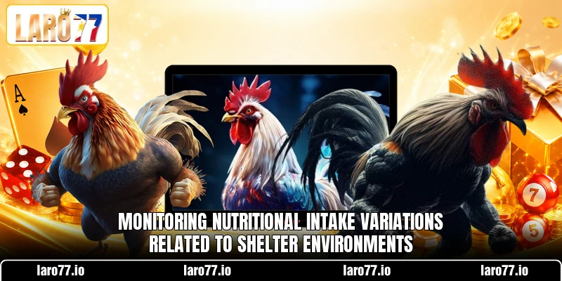 Monitoring nutritional intake variations related to shelter environments Monitoring nutritional intake variations related to shelter environments