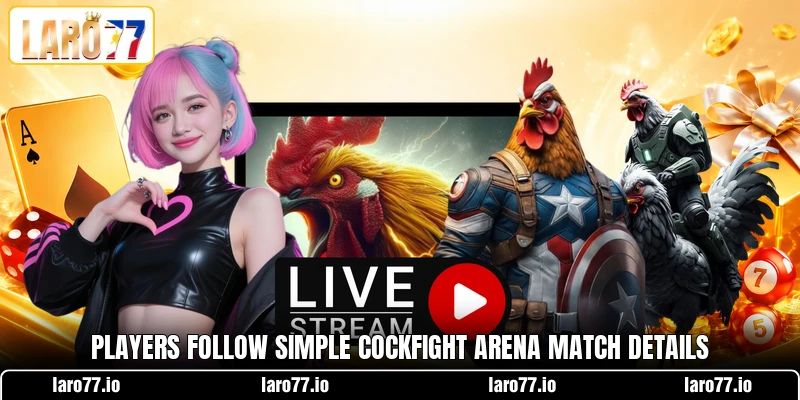 Players follow simple cockfight arena match details Players follow simple cockfight arena match details