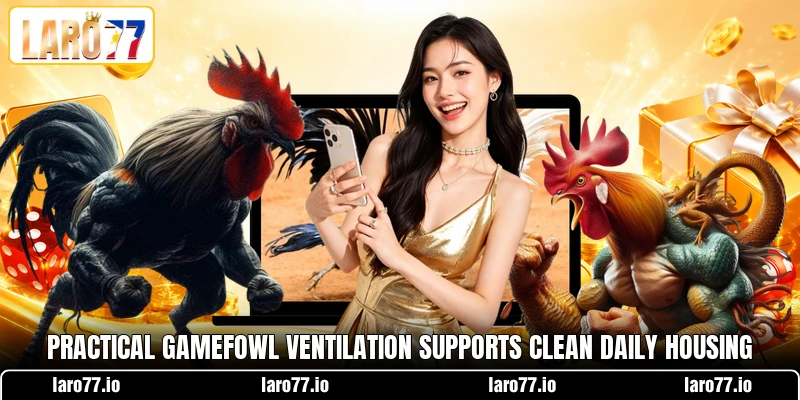 Practical gamefowl ventilation supports clean daily housing Practical gamefowl ventilation supports clean daily housing