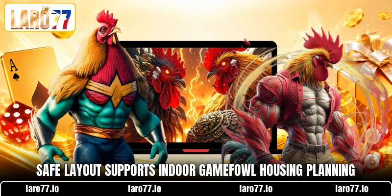 Safe layout supports indoor gamefowl housing planning Safe layout supports indoor gamefowl housing planning