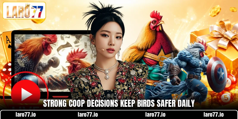 Strong coop decisions keep birds safer daily Strong coop decisions keep birds safer daily